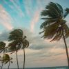 Météo : prévisions pour ce mardi 12 août