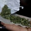 Un adolescent de 14 ans interpellé avec du cannabis dans son collège