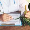 Cannabis médical : « Le rapport comporte des points positifs, mais aussi des failles », dit Dr Kunal Naik