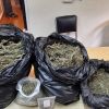 Union-Park : Saisie de 7,8 kilos de cannabis