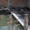 Cambodge: un homme dévoré par 40 crocodiles après avoir chuté dans un enclos