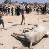 Trump dit voir des signes de réelle famine à Gaza