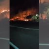 Incendie à Chapman Hill, Coromandel