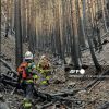 Feux de forêt au Japon: la pluie freine la propagation de l'incendie