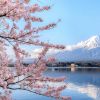 Diplomatie : ouverture d’une ambassade de Maurice au Japon