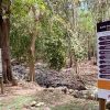 Parcs nationaux : vague de licenciements 