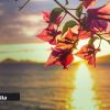 Météo : prévisions pour ce samedi 25 octobre