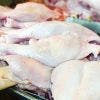 Pénurie de poulet : les producteurs évoquent une augmentation de la consommation