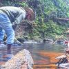 Raja Vencatasawmy : L’homme qui ramène la rivière à la maison