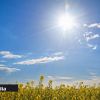 Météo : un début de semaine ensoleillé avec des températures au-dessus de la moyenne