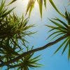Météo : prévisions pour ce vendredi 5 septembre