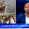 [Info Soirée] : « Mo pa kone kouma pou rekiper seki mon perdi » 