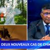 [Info Soirée] : « Deux nouveaux cas de Chikungunya »