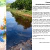 Pointe-aux-Sables : «Environ 20 litres de fioul lourd déversés», indique le ministère de l’Environnement