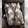 Plaisance : saisie de Rs 194,2 millions de cannabis sur huit passagers étrangers 