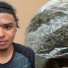 Port-Louis : saisie de Rs 180 000 de drogue de synthèse sur un homme de 23 ans