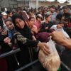 Journée mondiale de l’alimentation : Israël continue de restreindre l’aide à Gaza