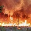 Des incendies de forêt ravagent le sud de l’Europe alors que les températures dépassent les 40 °C