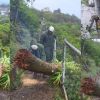 Rodrigues en alerte cyclonique de classe 4 : des soldats de la SMF à pied d’œuvre