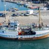 Italie : départ d'un nouveau bateau pour Gaza chargé d'aide humanitaire