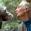 La célèbre primatologue Jane Goodall est morte