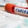 Près de 200 cas de choléra à Mayotte