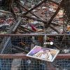 Bousculade mortelle en Inde : foule trop dense et mauvaise organisation