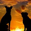 Crève-Cœur : enquête sur des morts suspectes de chiens