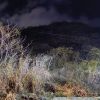 Incendie maîtrisé à Chapman Hill, Coromandel 