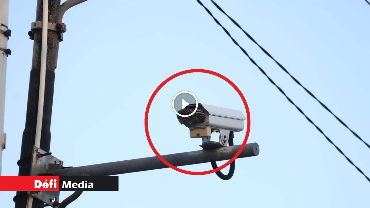 [Video] Safe City : un guêpier sur une caméra