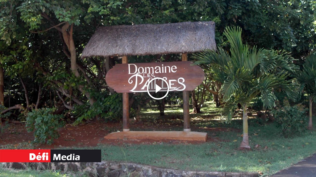 Domaine Les Pailles: vol d’un alambic valant Rs 10 millions | Defimedia